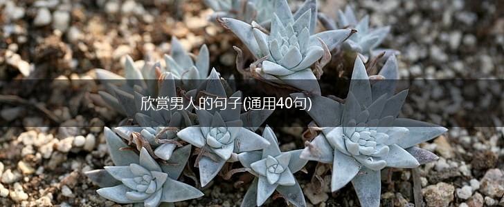 欣赏男人的句子(通用40句),第1张