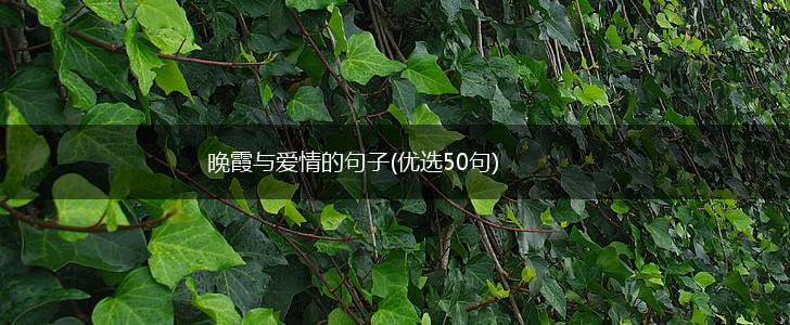 晚霞与爱情的句子(优选50句),第1张