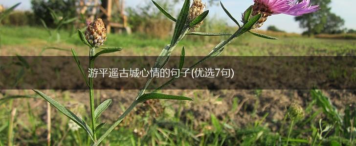 游平遥古城心情的句子(优选7句),第1张