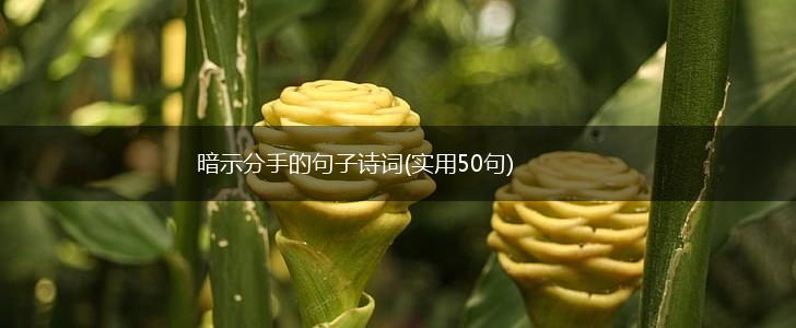 暗示分手的句子诗词(实用50句),第1张