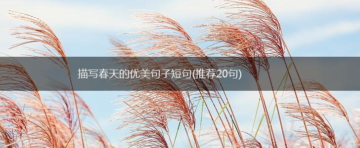 描写春天的优美句子短句(推荐20句),第1张