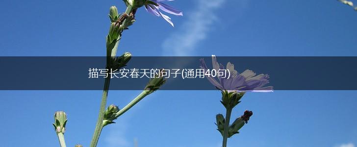 描写长安春天的句子(通用40句),第1张