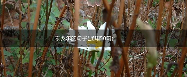 泰戈尔的句子(通用50句),第1张