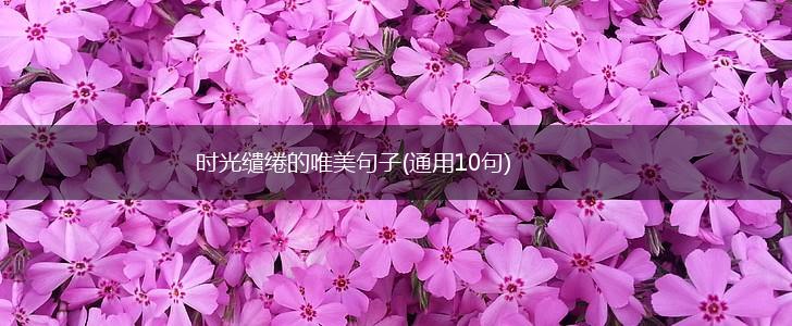 时光缱绻的唯美句子(通用10句),第1张