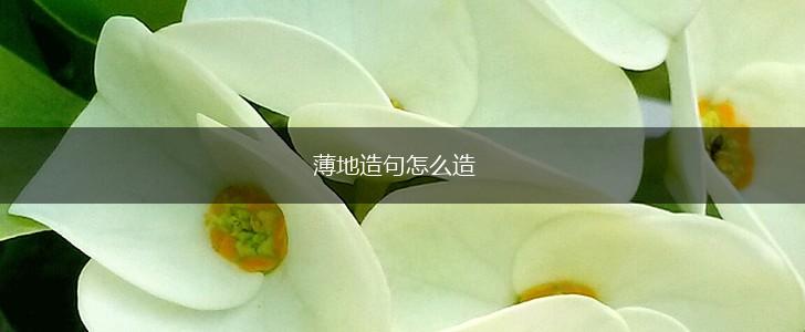薄地造句怎么造,第1张 薄地造句怎么造,第1张