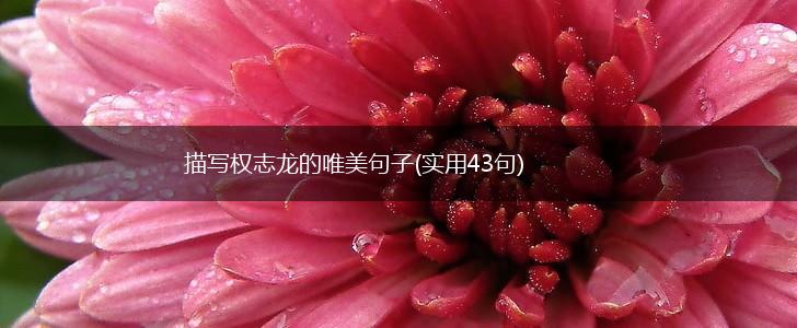描写权志龙的唯美句子(实用43句),第1张