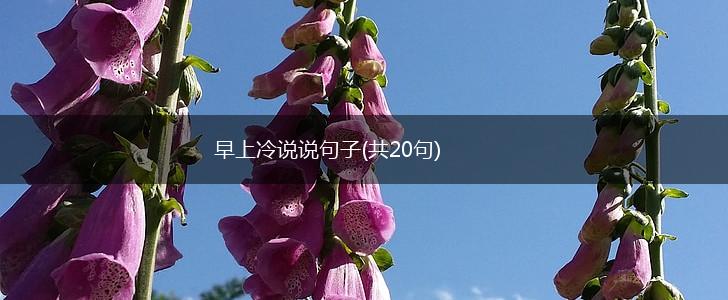 早上冷说说句子(共20句),第1张
