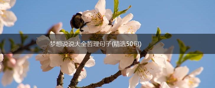 梦想说说大全哲理句子(精选50句),第1张