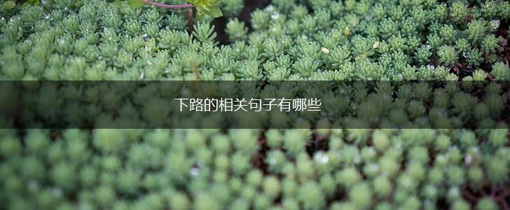 下路的相关句子有哪些,第1张