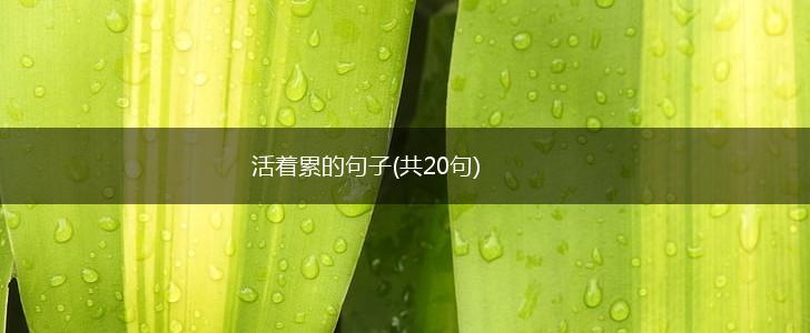 活着累的句子(共20句),第1张