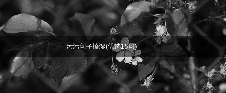 污污句子撩湿(优选15句),第1张