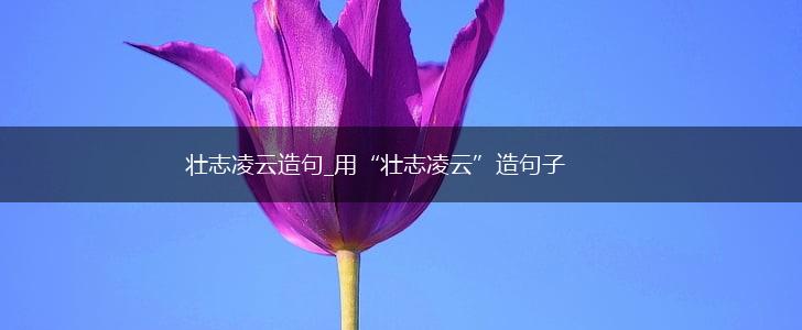 壮志凌云造句_用“壮志凌云”造句子,第1张 壮志凌云造句_用“壮志凌云”造句子,第1张