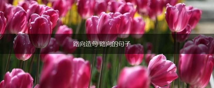 路向造句 路向的句子,第1张 路向造句 路向的句子,第1张