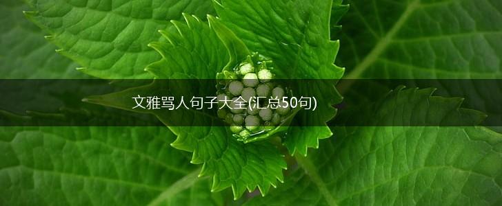 文雅骂人句子大全(汇总50句),第1张