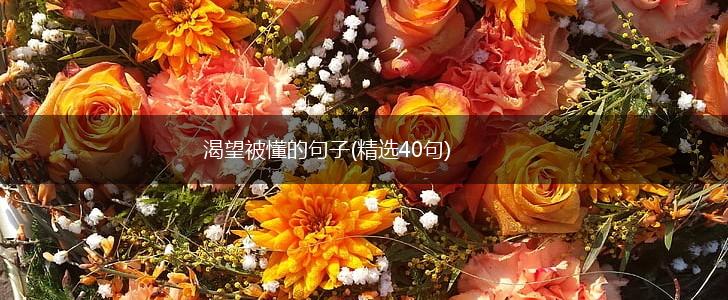 渴望被懂的句子(精选40句),第1张
