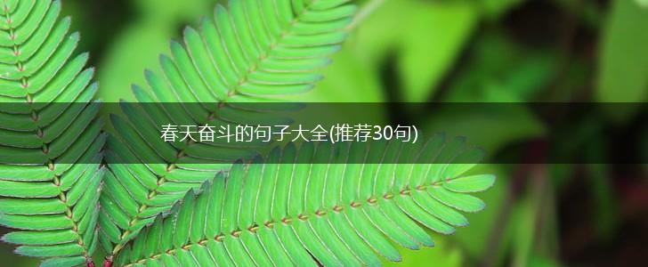 春天奋斗的句子大全(推荐30句),第1张