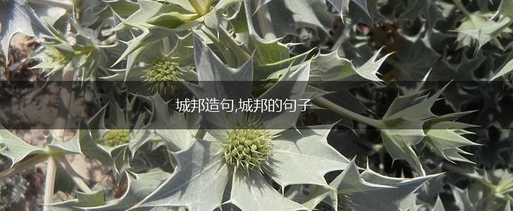 城邦造句,城邦的句子,第1张 城邦造句,城邦的句子,第1张