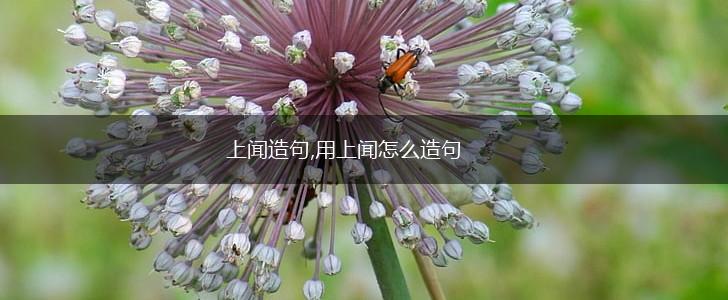 上闻造句,用上闻怎么造句,第1张
