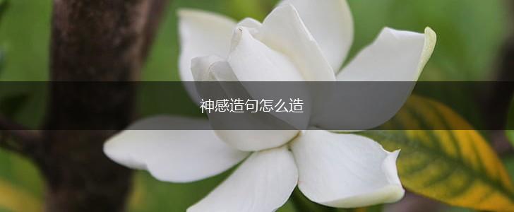 神感造句怎么造,第1张 神感造句怎么造,第1张