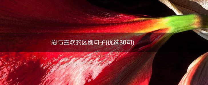 爱与喜欢的区别句子(优选30句),第1张