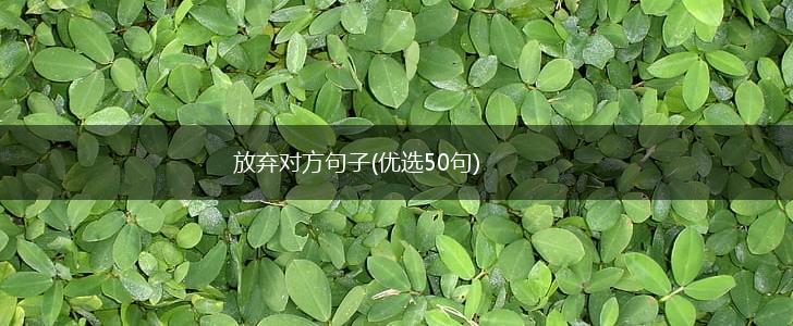 放弃对方句子(优选50句),第1张