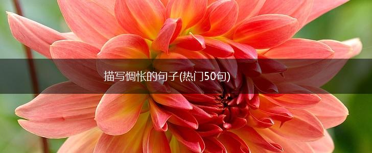 描写惆怅的句子(热门50句),第1张