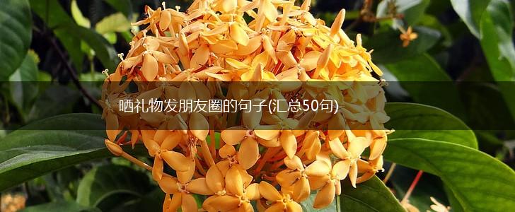 晒礼物发朋友圈的句子(汇总50句),第1张