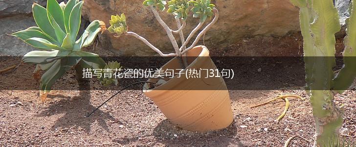 描写青花瓷的优美句子(热门31句),第1张