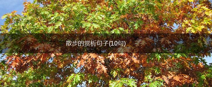 散步的赏析句子(10句),第1张
