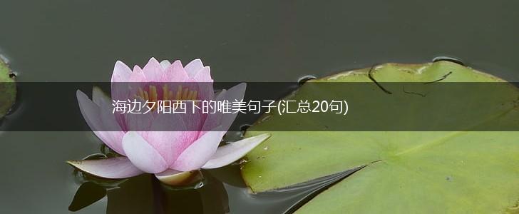 海边夕阳西下的唯美句子(汇总20句),第1张
