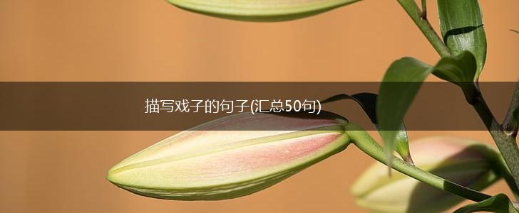 描写戏子的句子(汇总50句),第1张