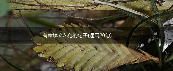 有意境文艺范的句子(通用20句),第1张