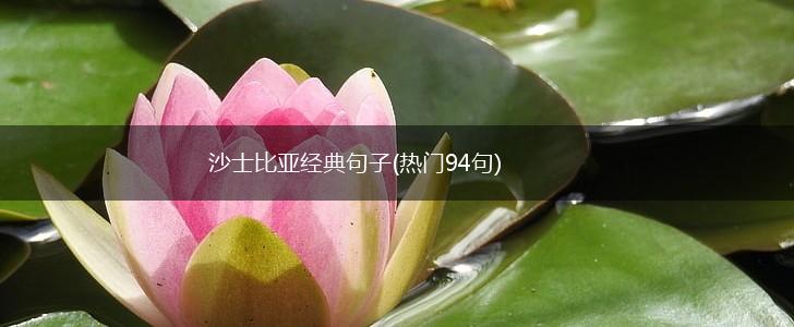 沙士比亚经典句子(热门94句),第1张