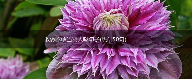 敢做不敢当骂人哒句子(热门50句),第1张