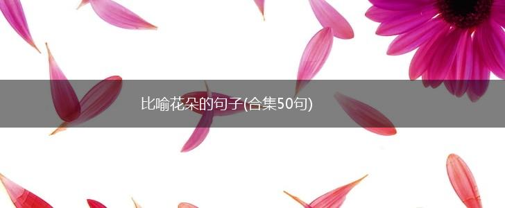 比喻花朵的句子(合集50句),第1张