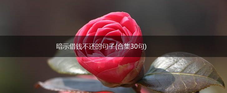 暗示借钱不还的句子(合集30句),第1张