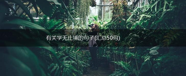 有关学无止境的句子(汇总50句),第1张