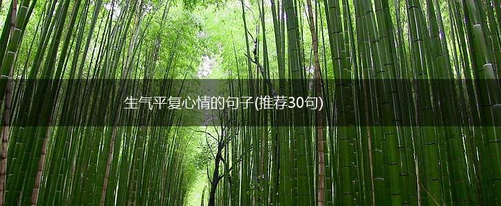 生气平复心情的句子(推荐30句),第1张