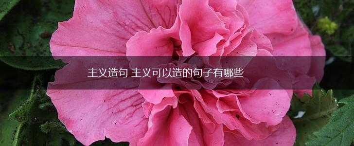 主义造句 主义可以造的句子有哪些,第1张 主义造句 主义可以造的句子有哪些,第1张