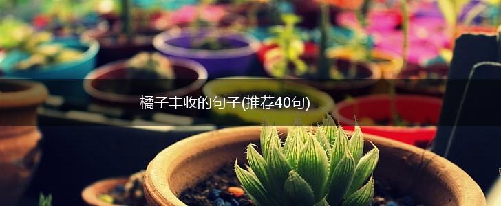 橘子丰收的句子(推荐40句),第1张