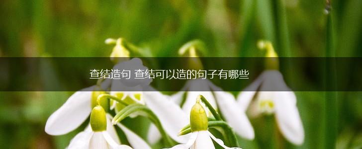 查结造句 查结可以造的句子有哪些,第1张 查结造句 查结可以造的句子有哪些,第1张