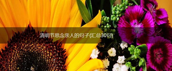 清明节思念亲人的句子(汇总30句),第1张
