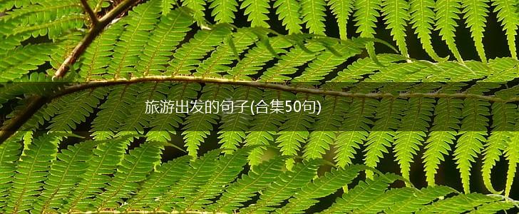 旅游出发的句子(合集50句),第1张