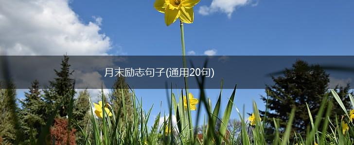 月末励志句子(通用20句),第1张