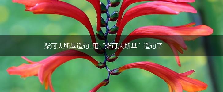 柴可夫斯基造句_用“柴可夫斯基”造句子,第1张
