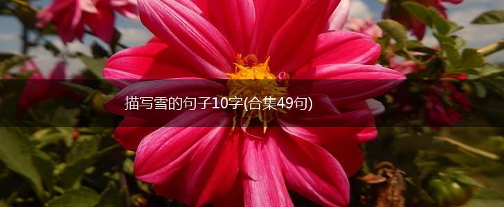 描写雪的句子10字(合集49句),第1张