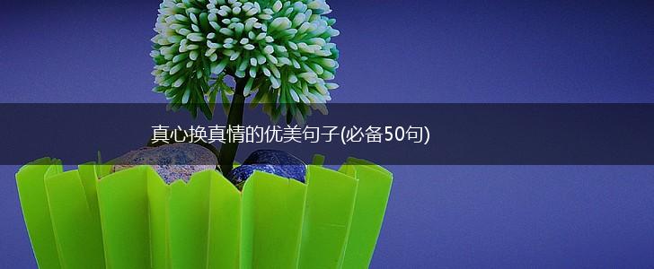 真心换真情的优美句子(必备50句),第1张