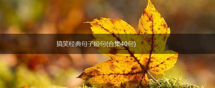 搞笑经典句子短句(合集40句),第1张