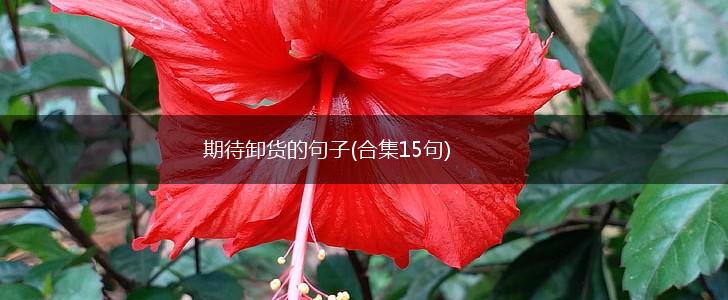 期待卸货的句子(合集15句),第1张