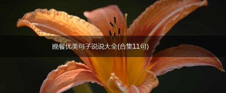 晚餐优美句子说说大全(合集11句),第1张